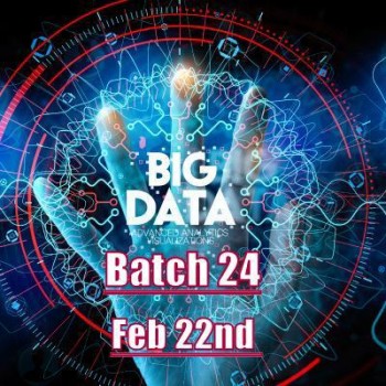 batch 24