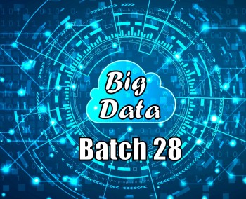 batch 28