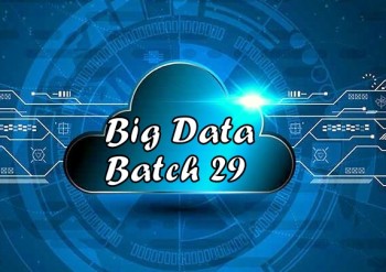 batch 29